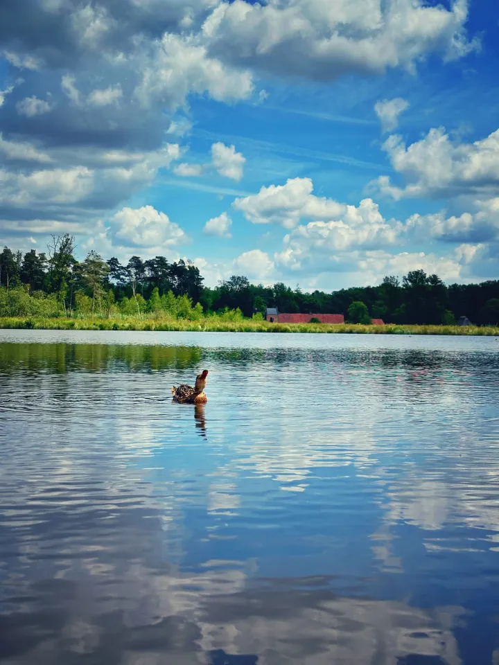 Laat de ErfgoedApp beslissen: de Boomerang-tour voor eindeloos wandelinspiratie