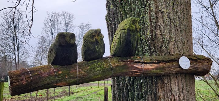 De Merelbekkersroutes: verhalen van de Orde van de Merelbekkers